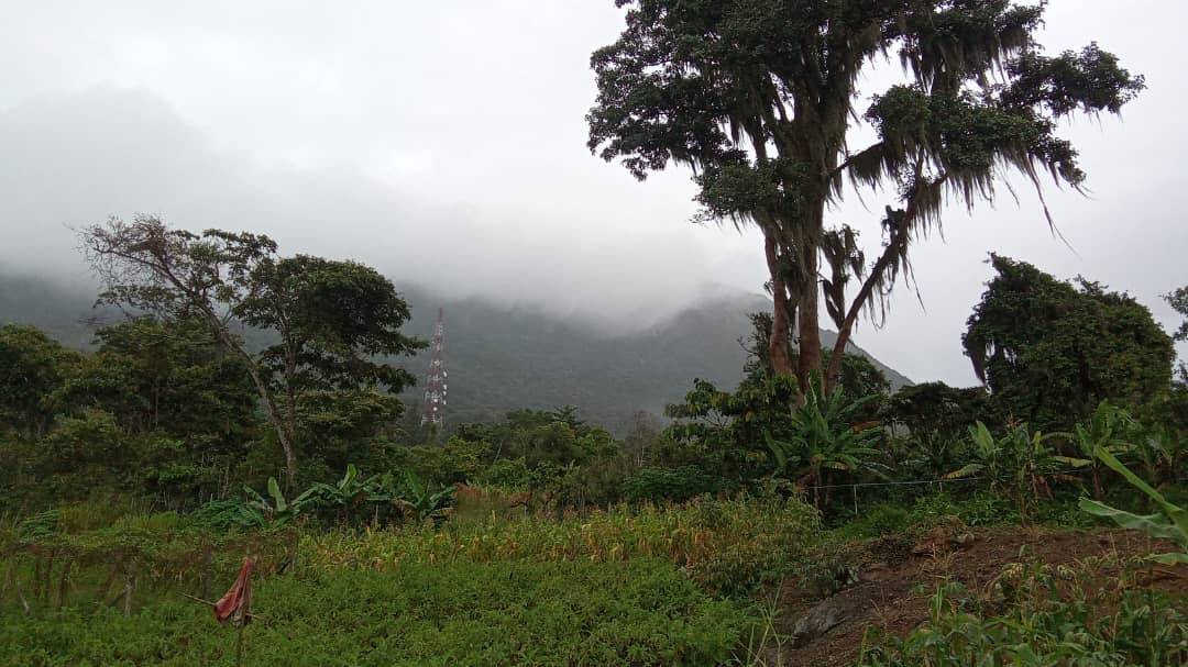 Terreno Sabana Piedra